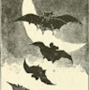 Meet your Posher, Alexa